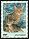  1999 - Le chat europ�en 