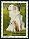  1999 - Le Grand Pyr�n�e 