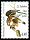  1995 - J.J. Audubon - �La buse pattue� 