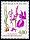  1992 - Orchid�e des marais - Orchis palustris 
